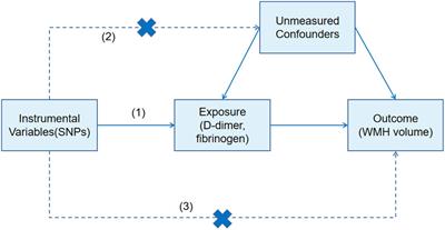 Association of coagulation markers with the severity of white matter hyperintensities in cerebral small vessel disease